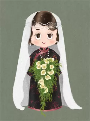 二嫁权臣小说完整版