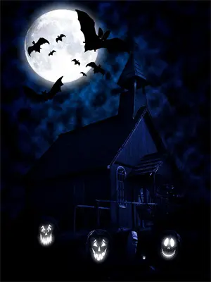 穿越成反派女主非要当我老婆合集