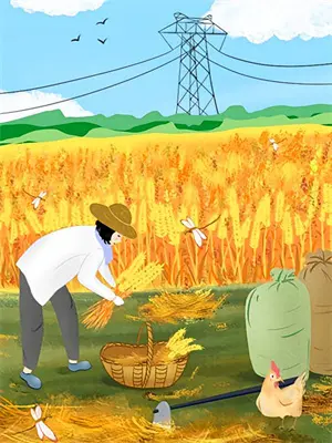 重生饥荒年代 小说